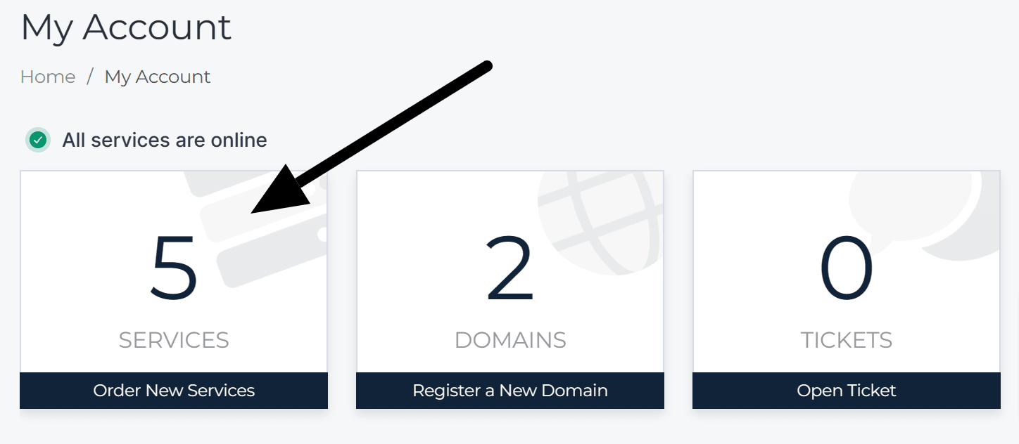 The Services tab in the WebGee client area
