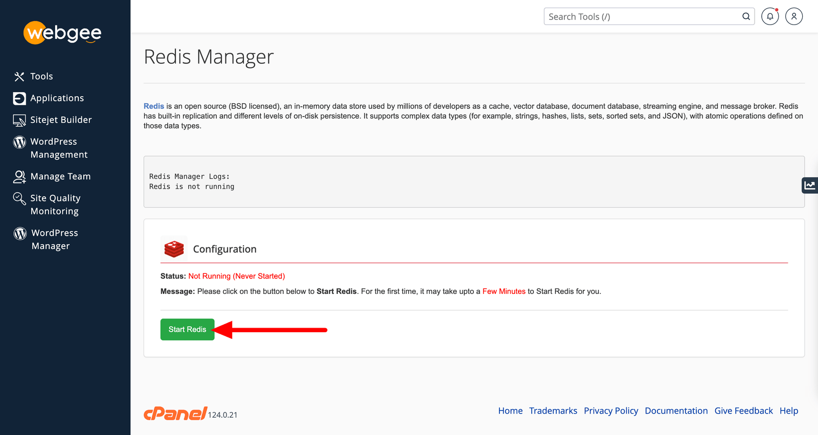 The Redis Manager page with the enable control