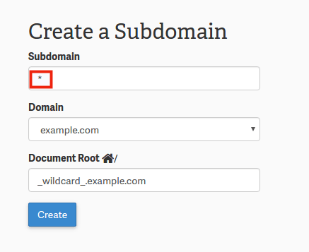 The Subdomain field containing an asterisk