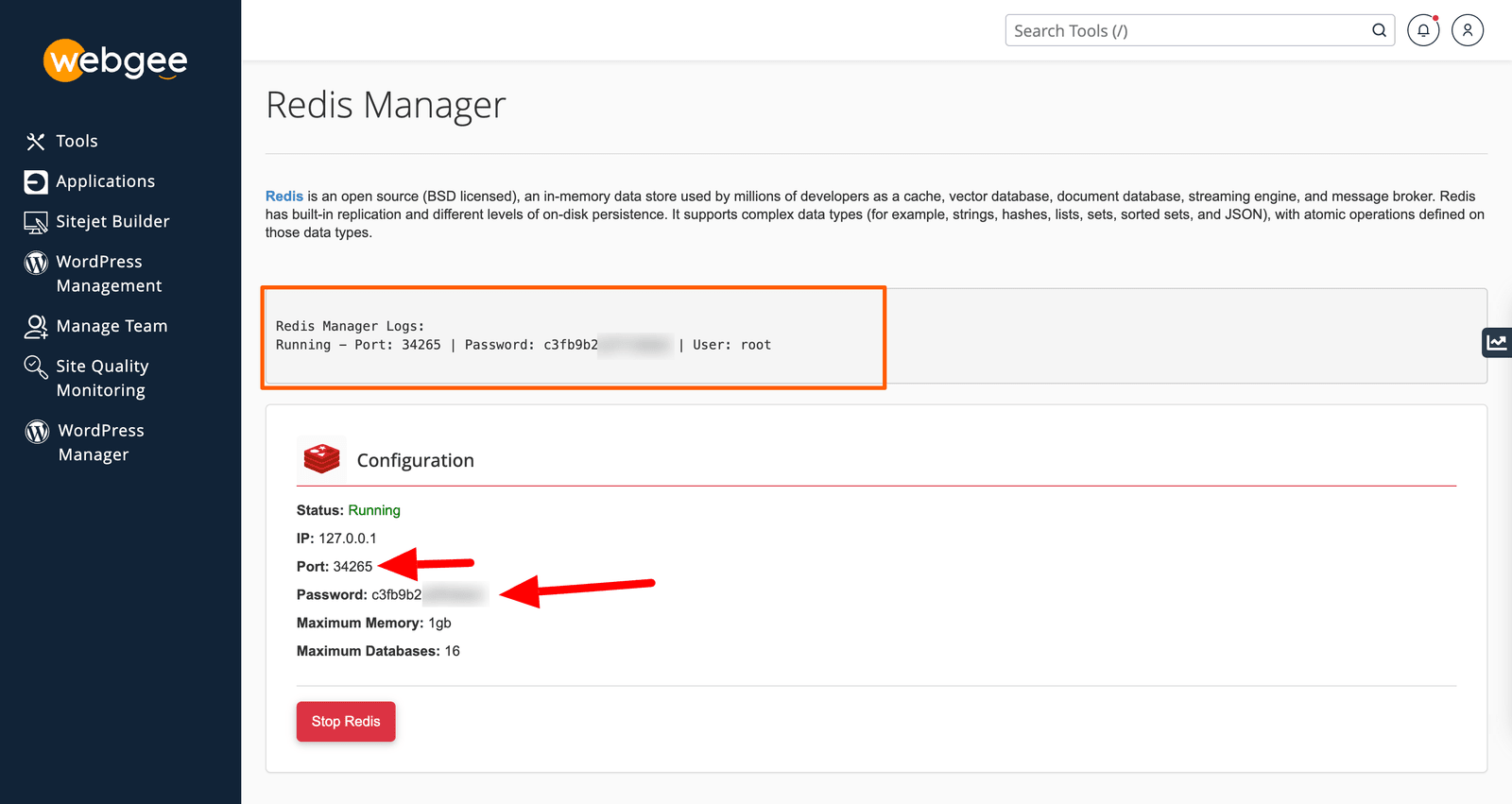 The Redis connection details, showing port and password