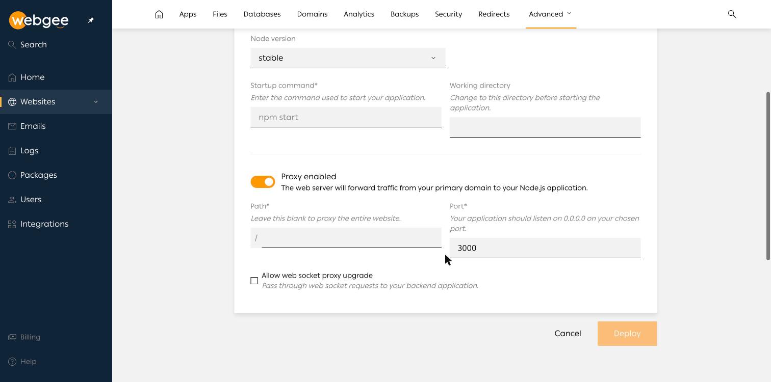 The proxy section, with path, port and web socket options